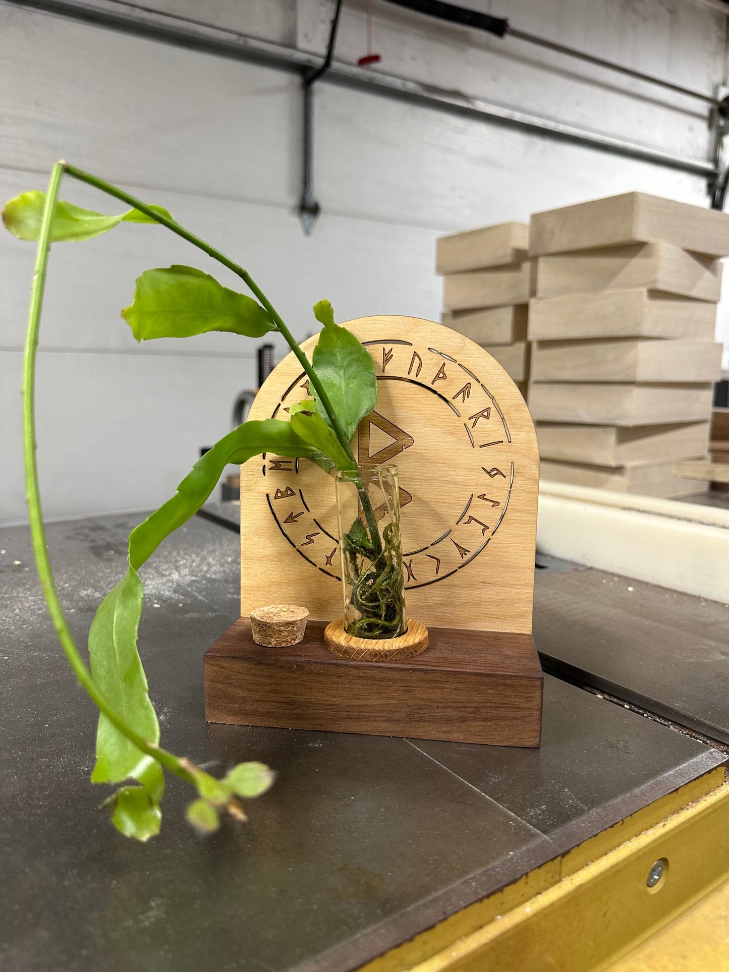 Plant Propagation Station - Walnut